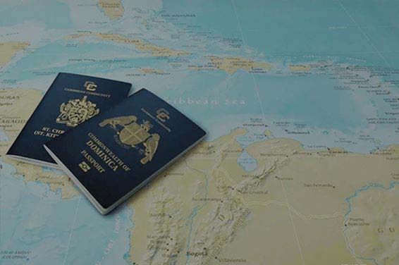 Global Immigration & Citizenship Planning