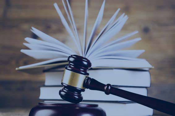 IP Litigation